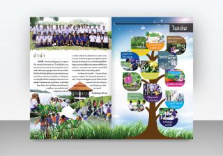 รับออกแบบหนังสือป่าชายเลน โรงเรียนนราธิวาส